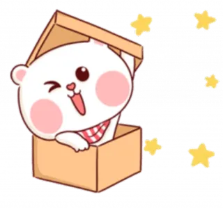 😉 Bär, süß, Cartoon, Box, Stern telegram sticker