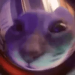✅