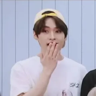 🤭 SKZ 男, kpop, stray kids, 韩语, 歌手, lee know whatsapp sticker