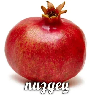 💁‍♀️ пиздец 석류, 과일, 러시아 욕설 telegram sticker