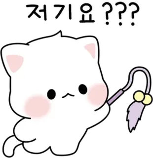 💬 저기요???? gatto, carino, domanda, coreano, sticker, animato telegram sticker