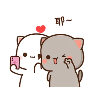 🤳 耶～ Katzen, süß, Selfie, Peachcat, Paar telegram sticker