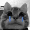 😭