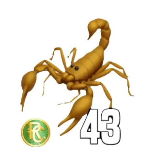 4️⃣ 43 escorpión, número, 43, animal, insecto telegram sticker