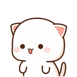 ⭐ cat, cute, animal, kitten, pet telegram sticker