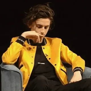 📯 Timothée Chalamet acteur, célébrité, personne, homme, veste jaune, assis telegram sticker