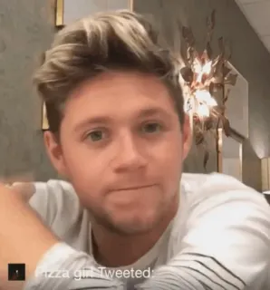 🎸 Niall Horan Pizza girl Tweeted: Niall Horan, cantor, One Direction, músico, retrato, rosto telegram sticker