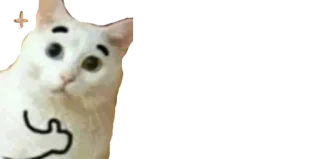 👍 gato, meme, ofensivo, dedo do meio telegram sticker