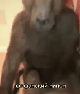 😒 фофанский нипон telegram sticker