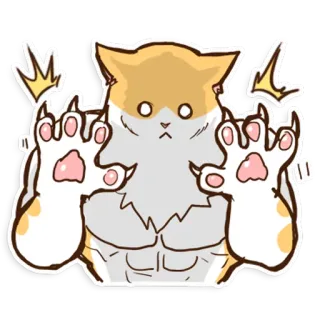 😈 gatto, muscoloso, animale, divertente, adesivo whatsapp sticker