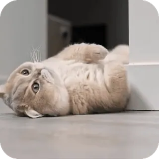 🙂 telegram sticker