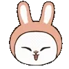 🐰