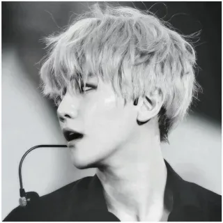 🍃 Baekhyun Baekhyun, K-Pop, piosenkarz, muzyka, idol, Exo telegram sticker