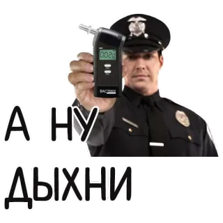 🦁 А НУ ДЫХНИ telegram sticker