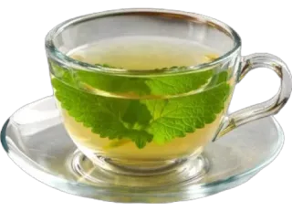 💚 tea, herbal tea, mint, refreshing, drink, beverage telegram sticker