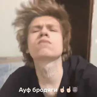 🌟 Ауф бродяги telegram sticker