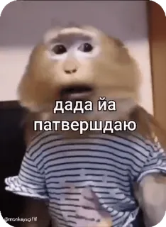 🌟 дада йа патвершдаю monkey, animal, funny, meme telegram sticker