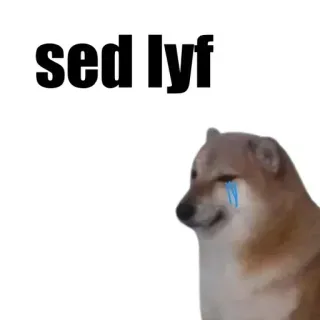 🏵 doge sed lyf smutny, pies, mem, płacz, Cheems telegram sticker