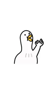 👌 bird, cartoon, character, animal, cute telegram sticker