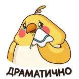 😥 uccello, calopsitta, piangere, triste, lacrima, cartone animato whatsapp sticker