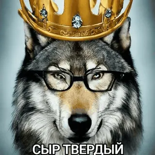 🧑‍🍼 СЫР ТВЕРДЫЙ loup, couronne, lunettes, fromage, fromage à pâte dure, fromage telegram sticker