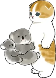 🐨 kucing, koala, hewan, imut, menggemaskan, kartun telegram sticker