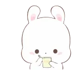 ✍ 토끼, 마시는, 귀여운, 동물, 토끼, 귀여운, 만화 telegram sticker