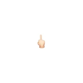 🖕 dito medio, offensivo, gesto, mano telegram sticker