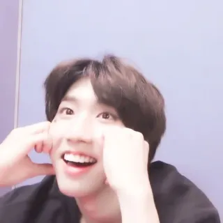 🐿 whatsapp sticker