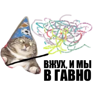 ✨ kat, tovenaar, magie, hoed, sticker, dier telegram sticker
