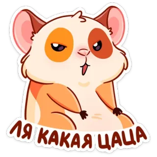 😐 ЛЯ КАКАЯ ЦАЦА แฮมสเตอร์, น่ารัก, สัตว์, การ์ตูน, ตลก telegram sticker