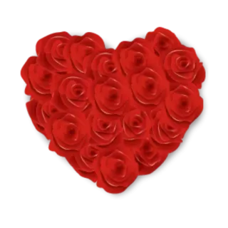 ❤️ coeur, roses, rouge, amour, Saint-Valentin, fleurs, romantique telegram sticker