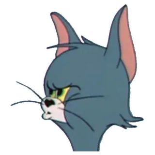 ❤️ Tom Cat Tom and Jerry gato, dibujos animados, expresión, divertido, humor, tom y jerry telegram sticker