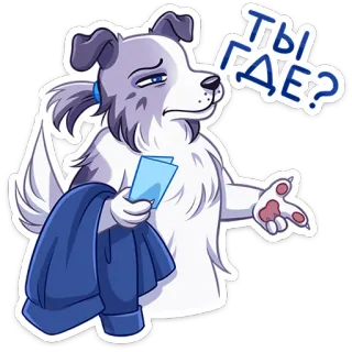❓ ТЫ ГДЕ? chó, hoạt hình, động vật, câu hỏi, chờ đợi, buồn, sticker telegram sticker