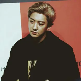 🇩🇴 Chanyeol kpop, idol, cantante, celebrità, exo, attore, musicista telegram sticker