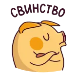 🐽 telegram sticker