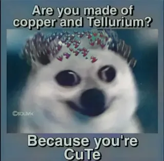 ❤️ Are you made of copper and Tellurium? Because you're CuTe cute, dog, meme, chemistry, puns telegram sticker