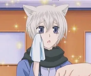 😢 Tomoe Kamisama Kiss Anime, Garçon, Renard, Oreilles, Mignon, Kawaii, Kamisama Kiss telegram sticker