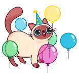 🥳 gato, festa, balões, fofo, celebração, animal, adesivo, desenho animado whatsapp sticker