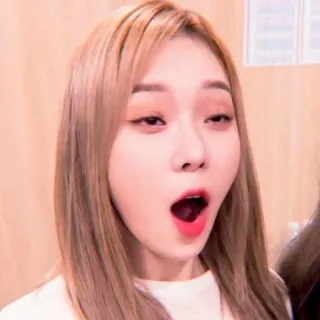 🌸 whatsapp sticker