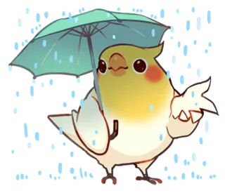 🌂 chim, vẹt, ô, dễ thương, mưa telegram sticker