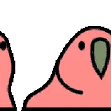 🦜 vogel, papegaai, roze, schattig, dier, cartoon, sticker telegram sticker