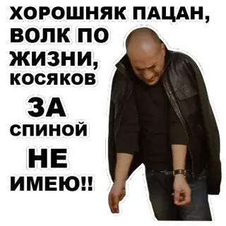 🤘 ХОРОШНЯК ПАЦАН, ВОЛК ПО ЖИЗНИ, КОСЯКОВ ЗА СПИНОЙ НЕ ИМЕЮ!! whatsapp sticker