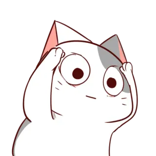 😨 mèo, bối rối, thắc mắc, động vật, dễ thương, hoạt hình telegram sticker