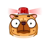 ๐จ telegram sticker