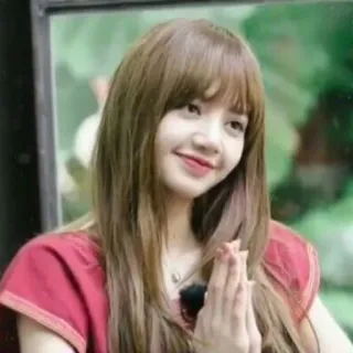 🙏 Lisa K-pop, singer, celebrity, Lisa, Blackpink telegram sticker