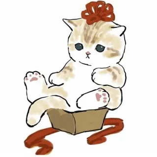 💗 kot, kociak, prezent, pudełko, wstążka, uroczy, zwierzę, zwierzę domowe telegram sticker