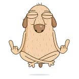 🧘 cartoon, dog, middle finger, offensive gesture, meditation, funny telegram sticker