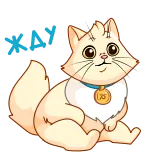 😮 kot, kociak, słodki, zwierzę, zwierzę domowe, domowy telegram sticker