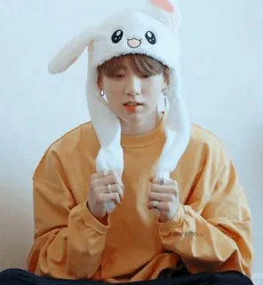 🐰 kpop, kelinci, topi, lucu, orang telegram sticker